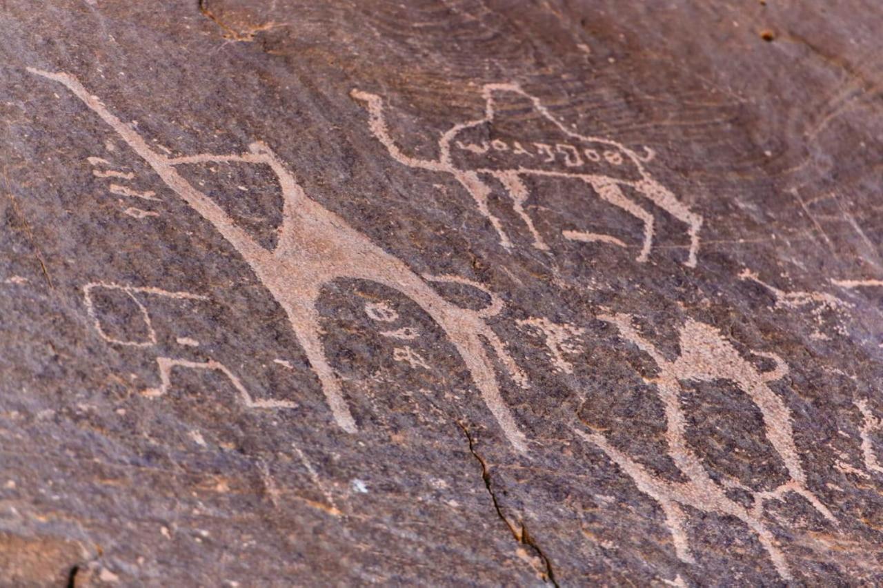 Harmony Luxury Camp Hotel Wadi Rum Exterior photo