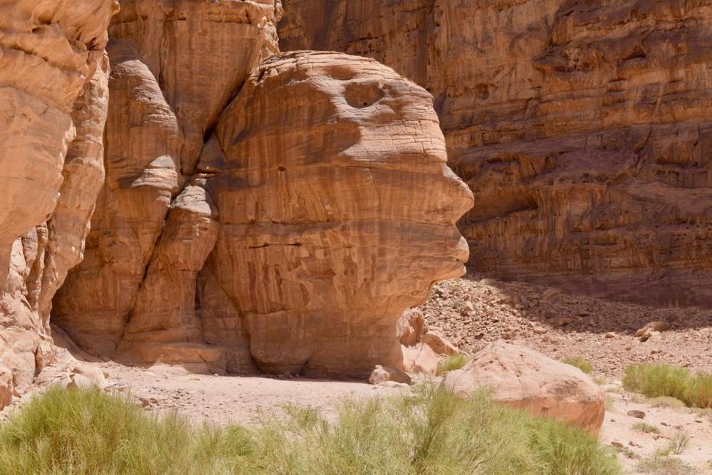 Harmony Luxury Camp Hotel Wadi Rum Exterior photo