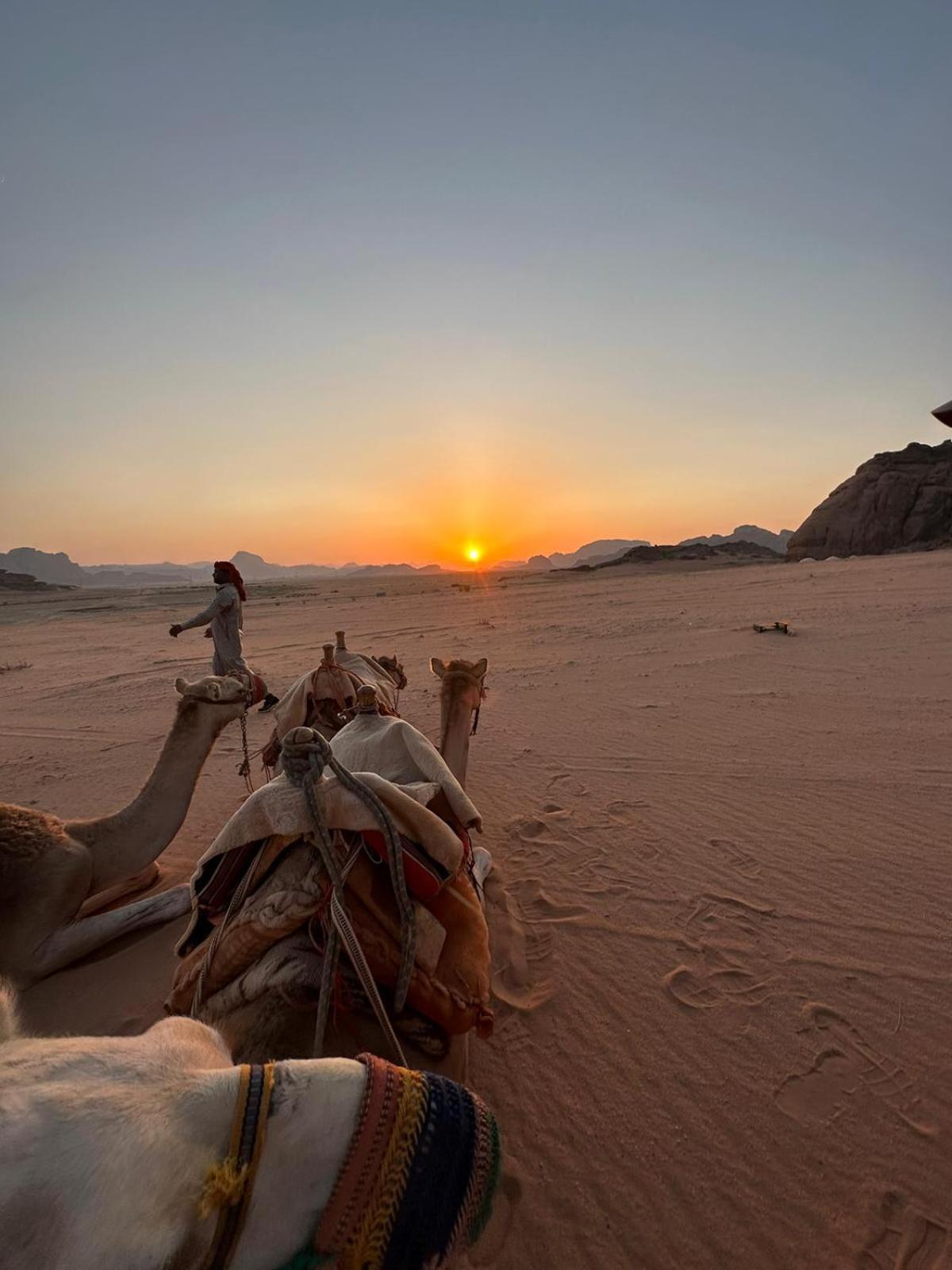 Harmony Luxury Camp Hotel Wadi Rum Exterior photo